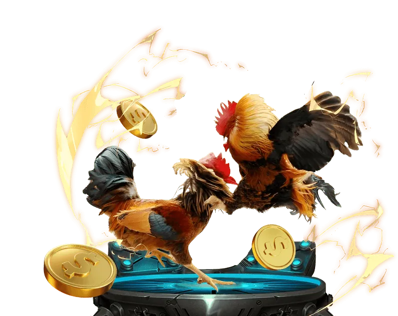 Các loại hình đá gà phổ biến tại WW88 WIN